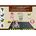 PLACA CU ADEZIV AGTP L 34 x 22cm